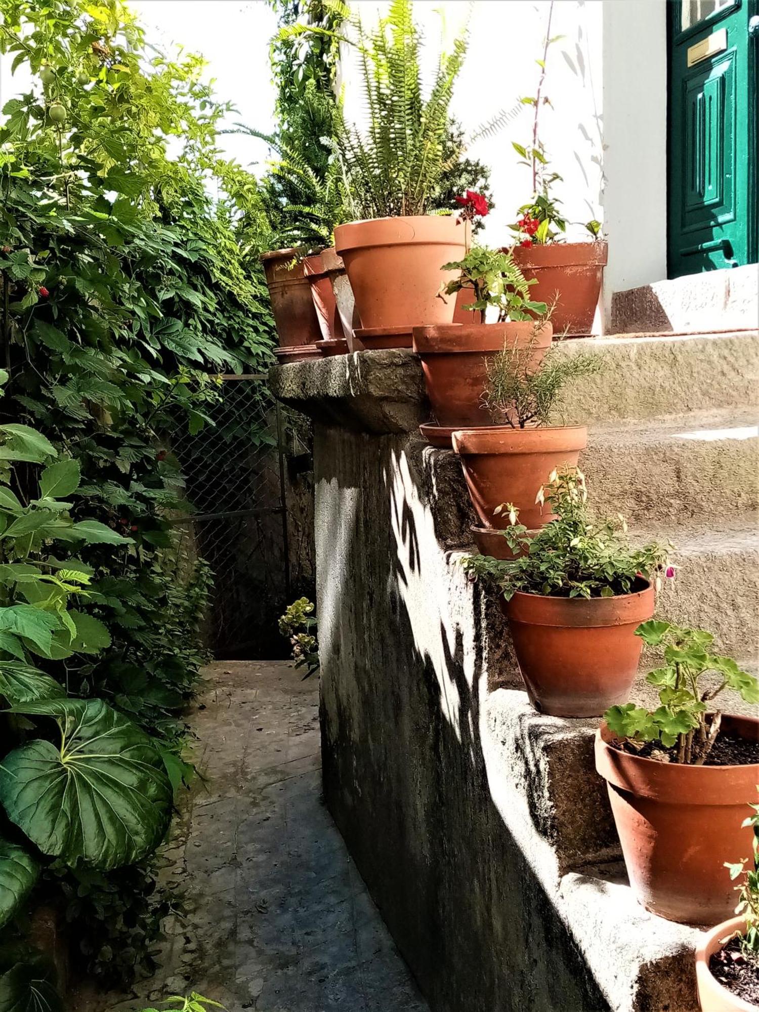 شقة Casa Da Judiaria Velha Ap فيزيو المظهر الخارجي الصورة